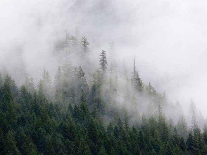 produits_elimination_de_brouillards